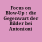 Focus on Blow-Up : die Gegenwart der Bilder bei Antonioni