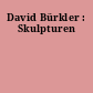 David Bürkler : Skulpturen