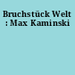 Bruchstück Welt : Max Kaminski