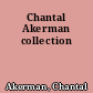 Chantal Akerman collection