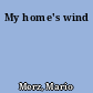 My home's wind
