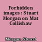 Forbidden images : Stuart Morgan on Mat Collishaw