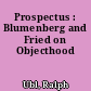 Prospectus : Blumenberg and Fried on Objecthood
