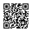 QR Code (код быстрого отклика)