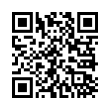 QR Code (код быстрого отклика)