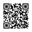 QR Code (код быстрого отклика)