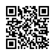 QR Code (код быстрого отклика)