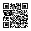 QR Code (код быстрого отклика)