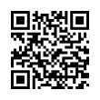 QR Code (код быстрого отклика)