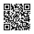 QR Code (код быстрого отклика)