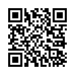 QR Code (код быстрого отклика)