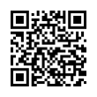 QR Code (код быстрого отклика)