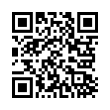 QR Code (код быстрого отклика)