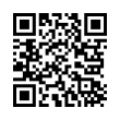 QR Code (код быстрого отклика)