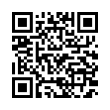 QR Code (код быстрого отклика)