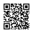 QR Code (код быстрого отклика)