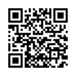 QR Code (код быстрого отклика)