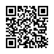 QR Code (код быстрого отклика)