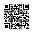 QR Code (код быстрого отклика)