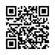 QR Code (код быстрого отклика)