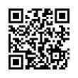 QR Code (код быстрого отклика)