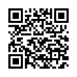 QR Code (код быстрого отклика)