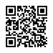 QR Code (код быстрого отклика)