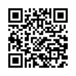 QR Code (код быстрого отклика)