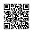 QR Code (код быстрого отклика)