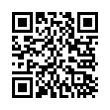 QR Code (код быстрого отклика)