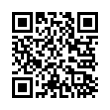 QR Code (код быстрого отклика)