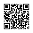 QR Code (код быстрого отклика)