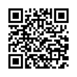 QR Code (код быстрого отклика)