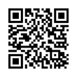 QR Code (код быстрого отклика)