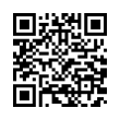 QR Code (код быстрого отклика)