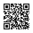 QR Code (код быстрого отклика)