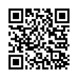 QR Code (код быстрого отклика)