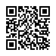 QR Code (код быстрого отклика)