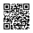 QR Code (код быстрого отклика)