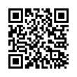 QR Code (код быстрого отклика)