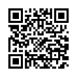 QR Code (код быстрого отклика)