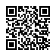 QR Code (код быстрого отклика)