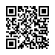 QR Code (код быстрого отклика)