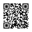 QR Code (код быстрого отклика)