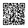 QR Code (код быстрого отклика)