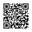 QR Code (код быстрого отклика)