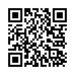 QR Code (код быстрого отклика)