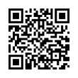 QR Code (код быстрого отклика)