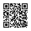 QR Code (код быстрого отклика)