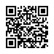 QR Code (код быстрого отклика)